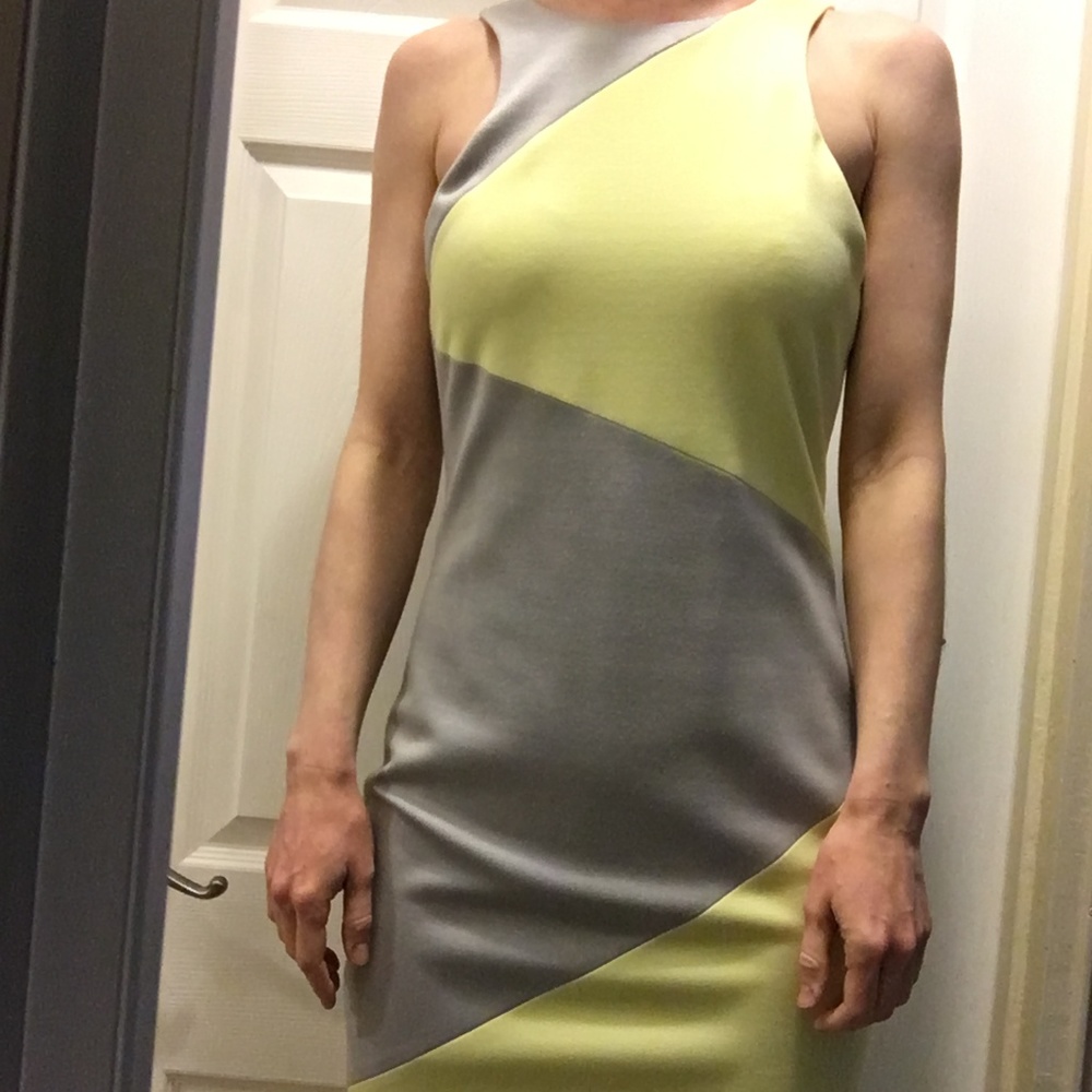 La Pina Color Block Tank Dress